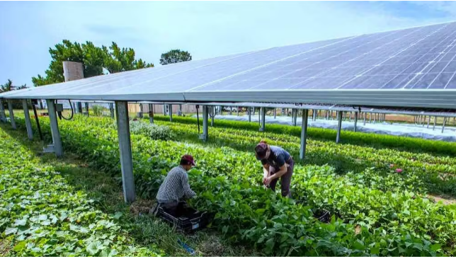 solar-power-meter-in-agricultural-industry